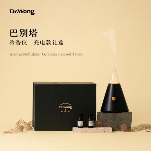 「巴别塔」冷香仪（充电款）-礼盒装 商品图0