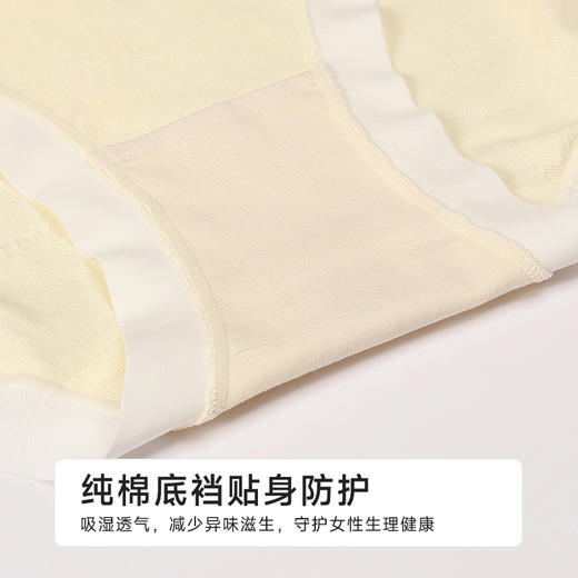 都市丽人纯棉系列RC提花舒肤棉平角裤LKH5D7 商品图7