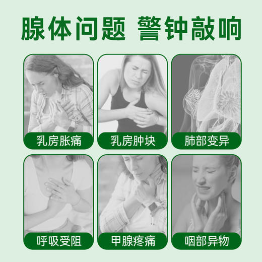 玉仰堂舒节片三舒平古正和三舒平YYT舒节片植物萃取科学配比 商品图2