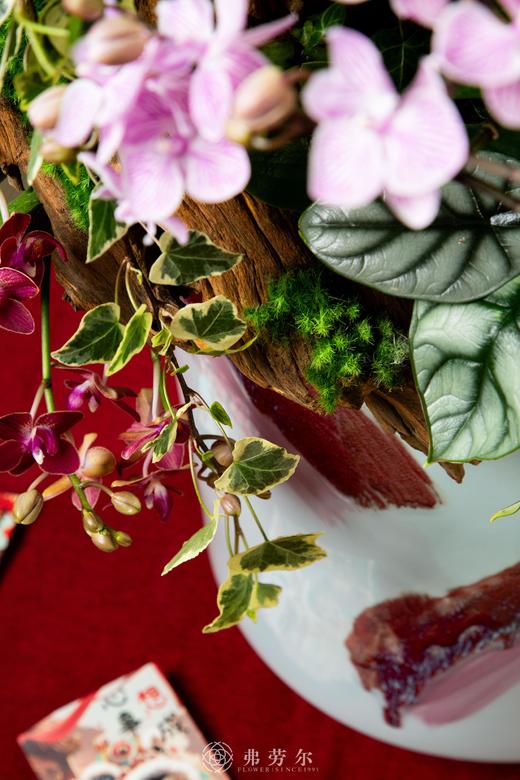 花飞蛇舞 商品图6