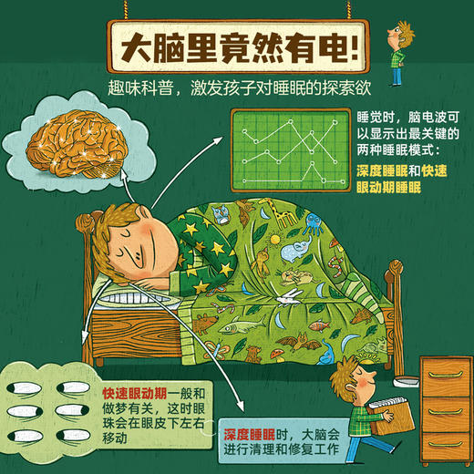 贪睡的脑袋  穿越11个栖息地 揭秘动物的43种睡眠方式 商品图2