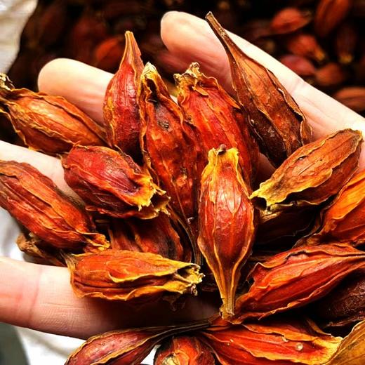 红栀子中药材黄栀特级山栀子花茶食药同源食品  流水心 商品图4