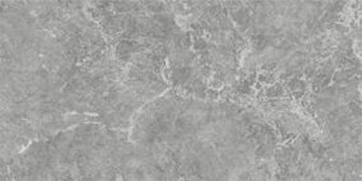 CAT-C12614 600*1200mm 哑面中灰色系石纹瓷砖 商品图0