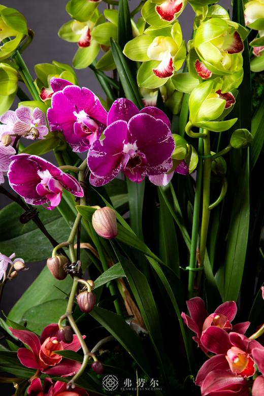 致富蛇盘玉 商品图4