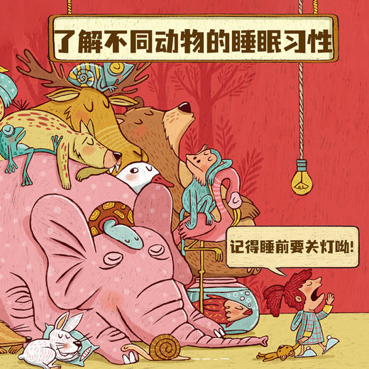 贪睡的脑袋  穿越11个栖息地 揭秘动物的43种睡眠方式 商品图9