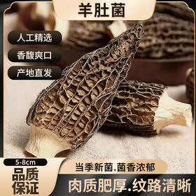 【春夏季滋补】在菌屋 云南高山短柄羊肚菌干货50g/袋 4-6cm/6-8cm/8-12cm 菌香馥郁浓厚 菌身脉络清晰 口感爽滑脆嫩