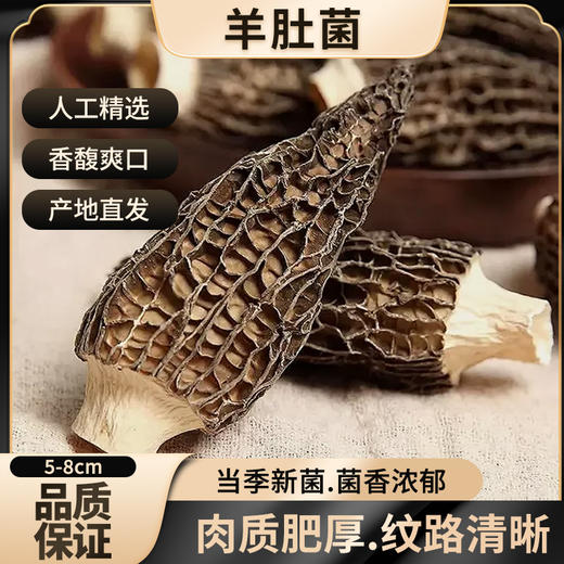 【春夏季滋补】在菌屋 云南高山短柄羊肚菌干货50g/袋 4-6cm/6-8cm/8-12cm 菌香馥郁浓厚 菌身脉络清晰 口感爽滑脆嫩 商品图0