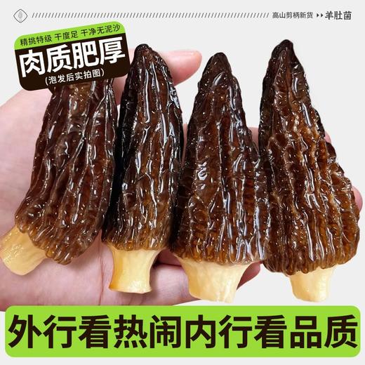 【春夏季滋补】在菌屋 云南高山短柄羊肚菌干货50g/袋 4-6cm/6-8cm/8-12cm 菌香馥郁浓厚 菌身脉络清晰 口感爽滑脆嫩 商品图4
