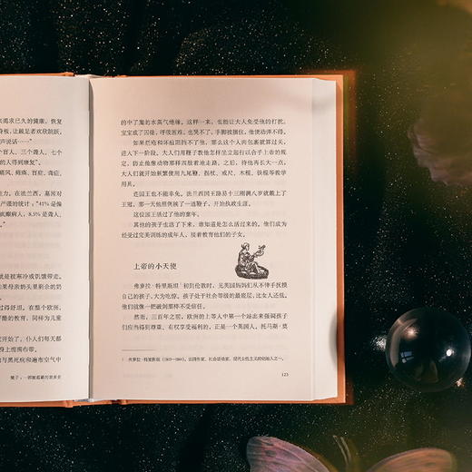 镜子：一部被遮蔽的世界史 商品图12