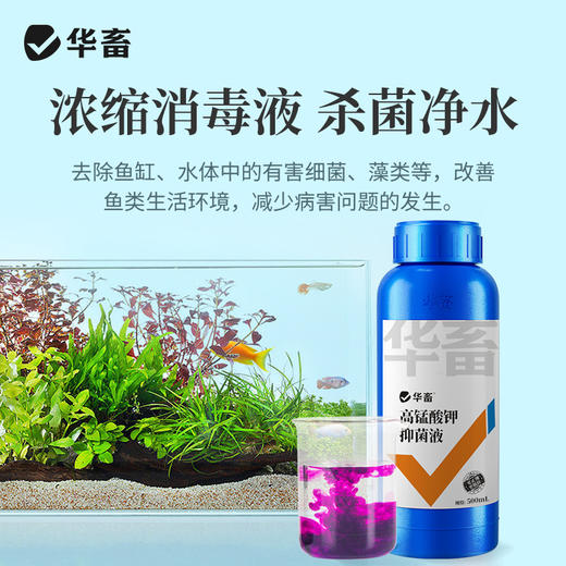 高锰酸钾鱼用消毒液鱼缸消菌药净水剂植物乌龟养殖场高猛酸钾溶液 商品图4