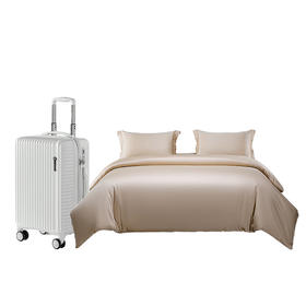 （分2个包裹发货）外交官 拉杆箱（20英寸+扩充层）+ BOSS玄武岩贡缎印花四件套【HSCJ20.0】