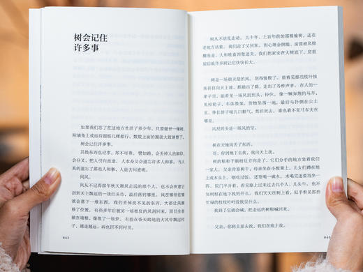 《刘亮程作品集》精美函套（全4册）| 一举斩获茅盾文学奖、鲁迅文学奖的“神作家”，文坛的一股清流，朴素博大而又治愈人心，心灵得不到安顿的时候，读读刘亮程 商品图9
