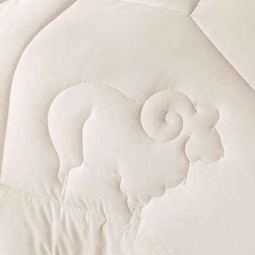 多喜爱 美眠康 暖意绒绒大豆澳毛二合一冬被DZ 商品图1