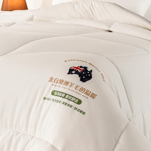 多喜爱 美眠康 暖意绒绒大豆澳毛二合一冬被DZ 商品图2