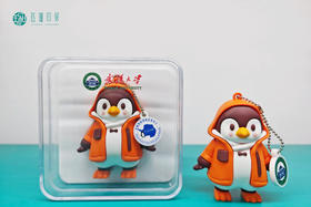 武大南极科考立体U盘