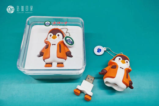 武大南极科考立体U盘 商品图3