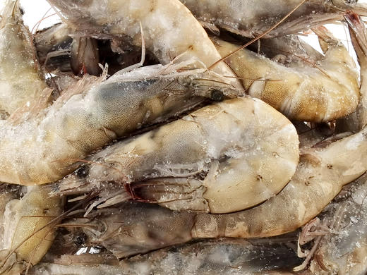 【年货节】优质厄瓜多尔白虾  29元/斤  虾肉饱满，口感爽滑，味道鲜甜 商品图1