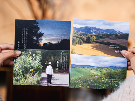 《刘亮程作品集》精美函套（全4册）| 一举斩获茅盾文学奖、鲁迅文学奖的“神作家”，文坛的一股清流，朴素博大而又治愈人心，心灵得不到安顿的时候，读读刘亮程 商品图4