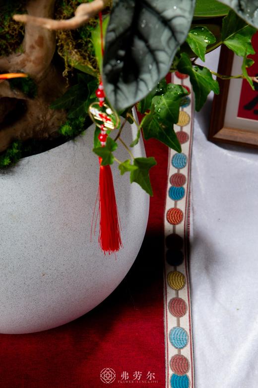 蛇身取亿 商品图3