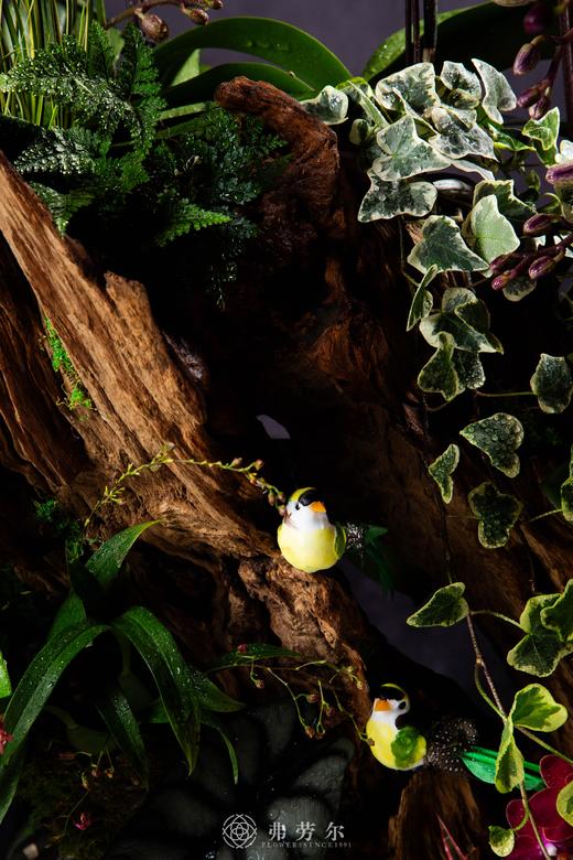 蛇行大运 商品图3