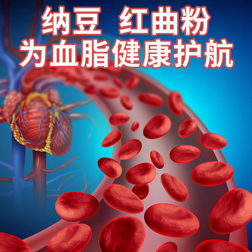 洛达康 官方旗舰店正品 洛达康纳豆红曲胶囊 推荐套装更划算 商品图3