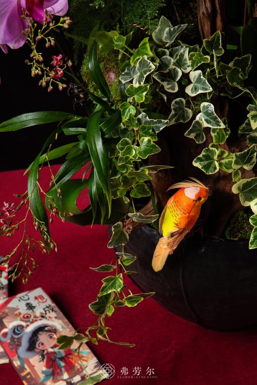 福绕蛇年 商品图2