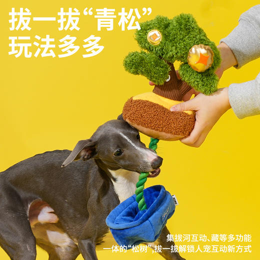zeze“青松来财”狗狗玩具套装-B（包邮） 商品图1