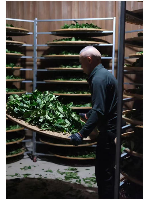 虎啸岩肉桂 荔枝木碳焙 商品图7