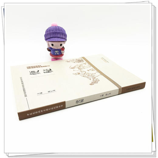 便秘 中医优势病种古籍文献挖掘丛书 陈仁寿 主编 中国中医药出版社 商品图2