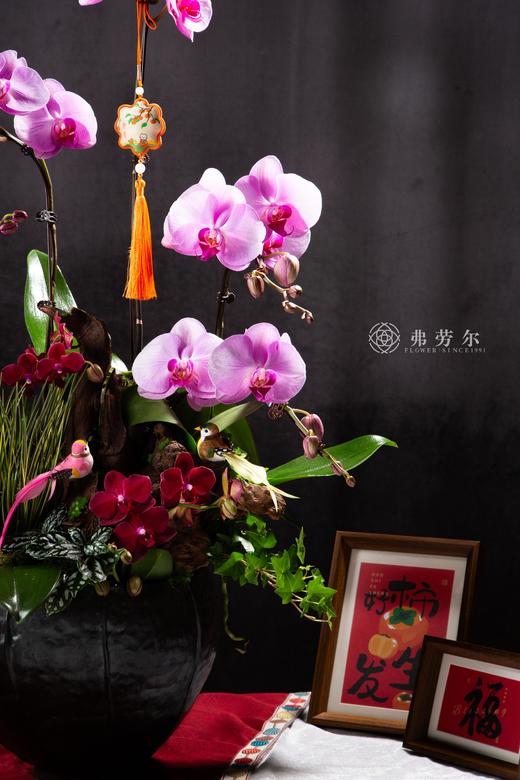 蛇运亨通 商品图1