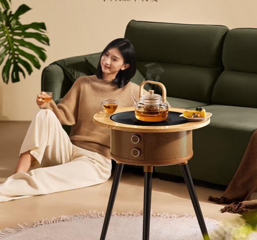 【云粉节】7楼鼎易数码 艾美特围炉煮茶取暖器电烤炉家用室内烤火炉冬季多功能电烤炉防寒家用暖腿神器 AIR13 机械式 【围炉煮茶小魔桌】 商品图0