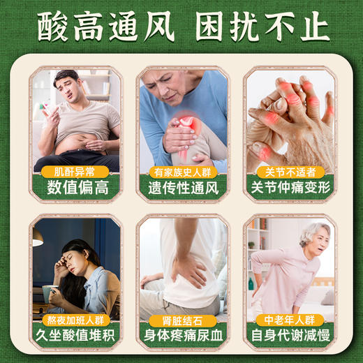 观滋堂小绿罐芹菜籽平肌 酐下尿酸肾结石排石化膏嘌呤芹菜 籽葛根 商品图1