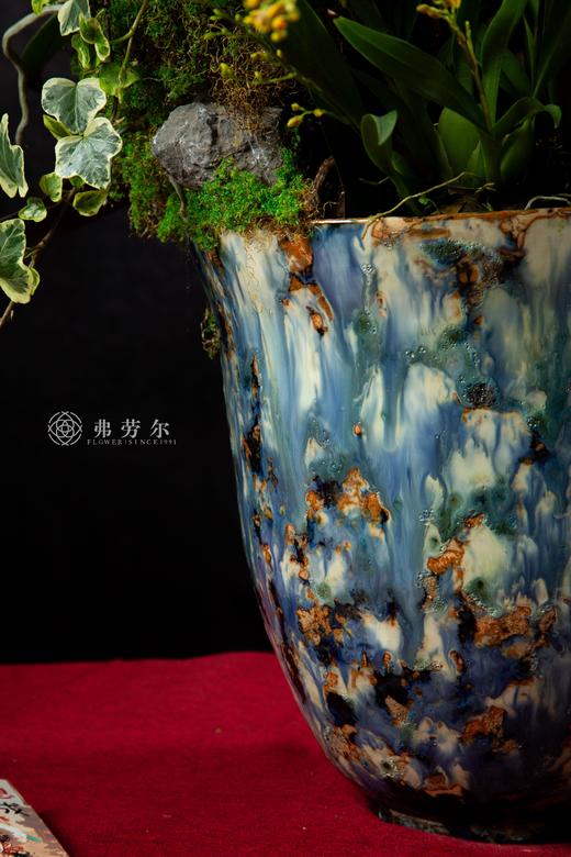 绘蛇添彩 商品图3