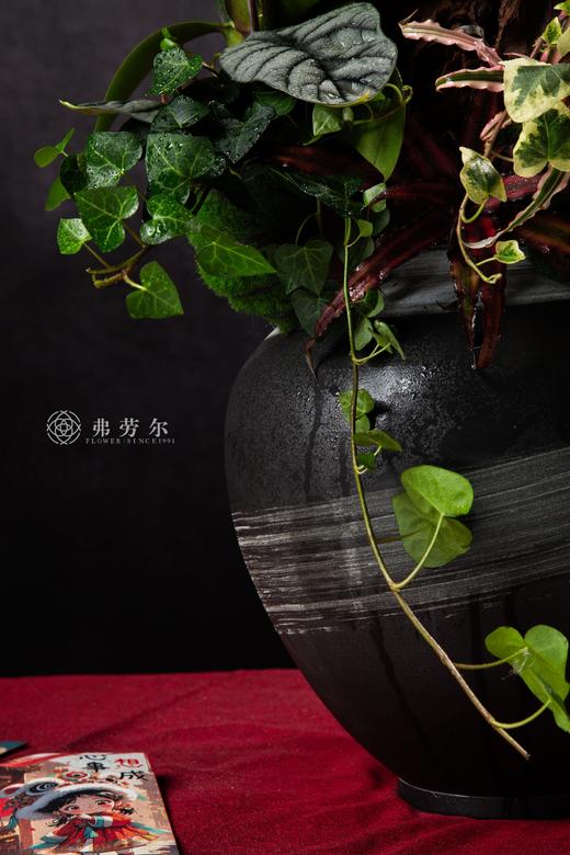 蛇全蛇美 商品图5