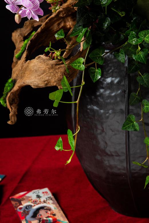 与蛇俱进 商品图7