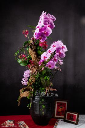与蛇俱进