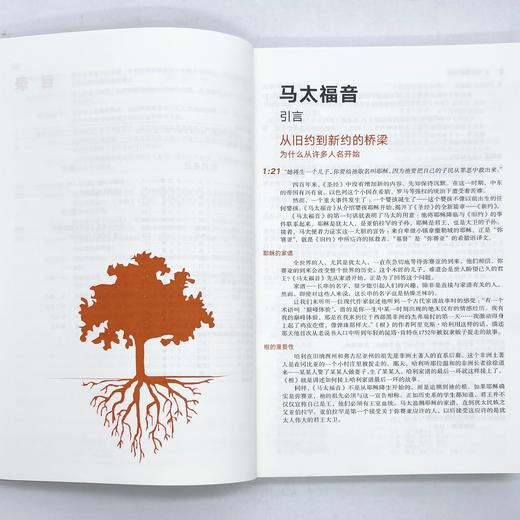 重印《SJ阅读指南：新约》杨腓力带领你读当代译本附带三套读经计划 商品图4