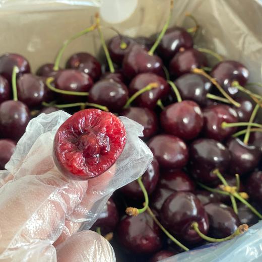 【海运！瑞吉娜车厘子】Regina车厘子 质地脆爽，厚厚的果肉一口咬下果香味特足，果皮略厚，甜度不错，接近科迪亚的品种。江浙沪皖顺丰包邮~ 商品图1