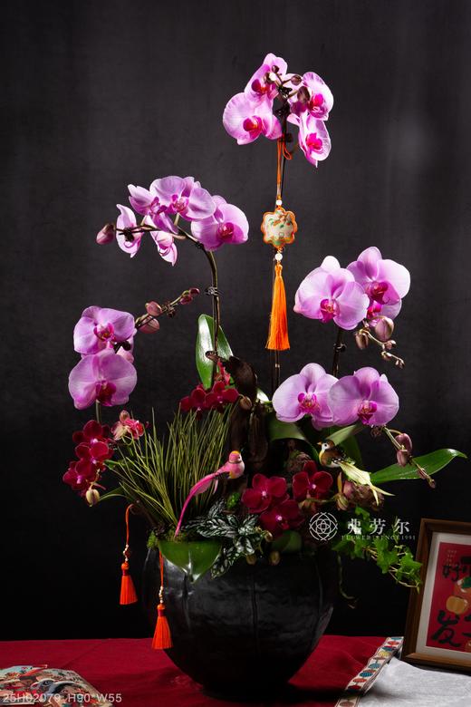 蛇运亨通 商品图0