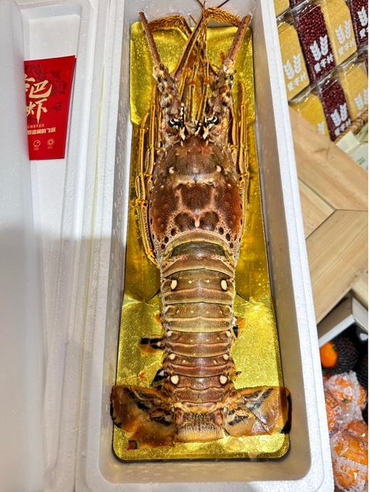 【发货+20元】丨团购·年货集·古巴龙虾 约4斤/只丨下单后排单发货 商品图1