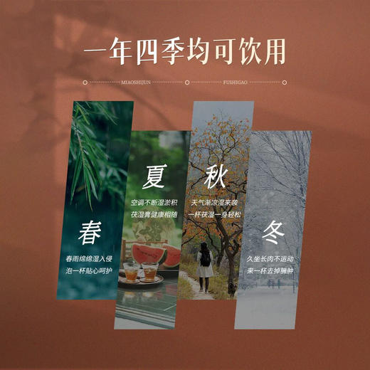 标素茯湿膏滋补草本膏标素家付诗膏伏湿膏伏诗膏标素官方旗舰店 商品图4