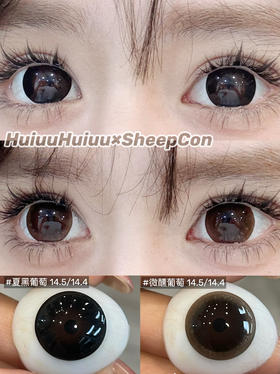 【新品实拍】Sheepcon葡萄系列-夏黑葡萄/微醺葡萄-14.5mm/14.4mm着色 【年抛 度数0-1000度 无525/575 】