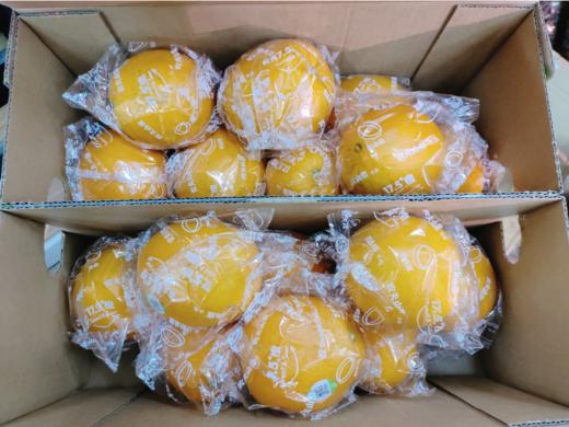 农夫山泉17°5橙子一箱 商品图4