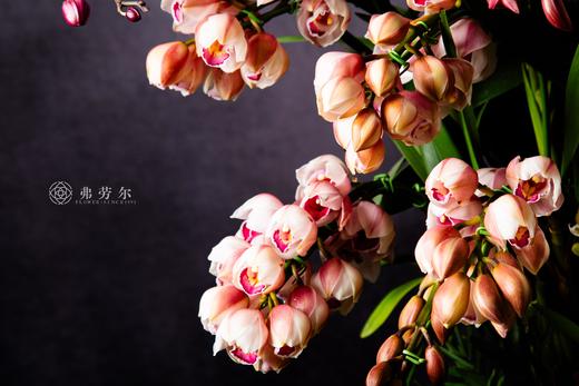 蛇来淑景新 商品图2