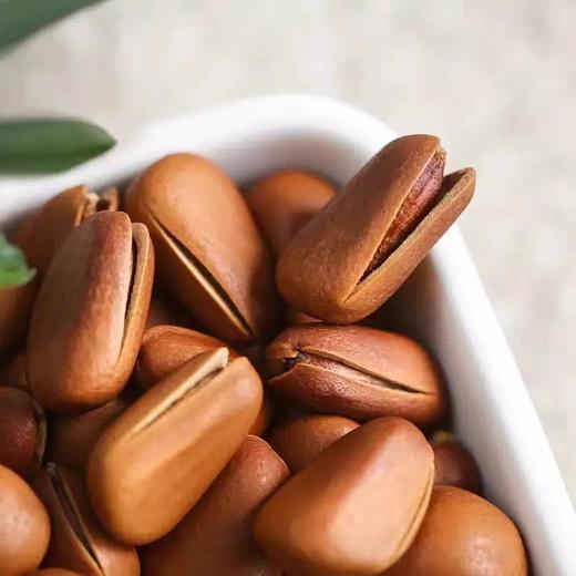 罐罐熊开口松子500g 商品图1