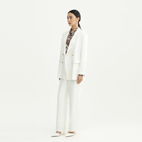 戴布拉芬西服外套L28A153