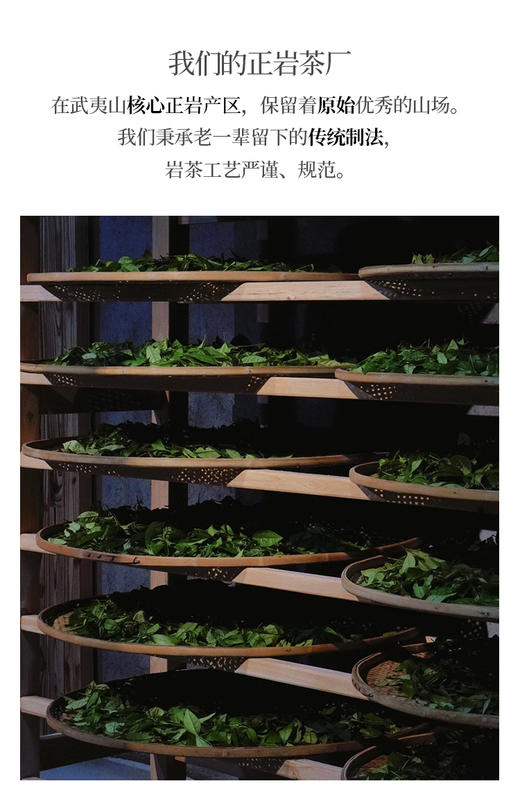 虎啸岩肉桂 荔枝木碳焙 商品图6