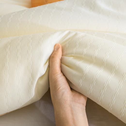 【高品质】秋冬A类提花99%大豆被 抑菌提花大豆蛋白纤维冬被 商品图3