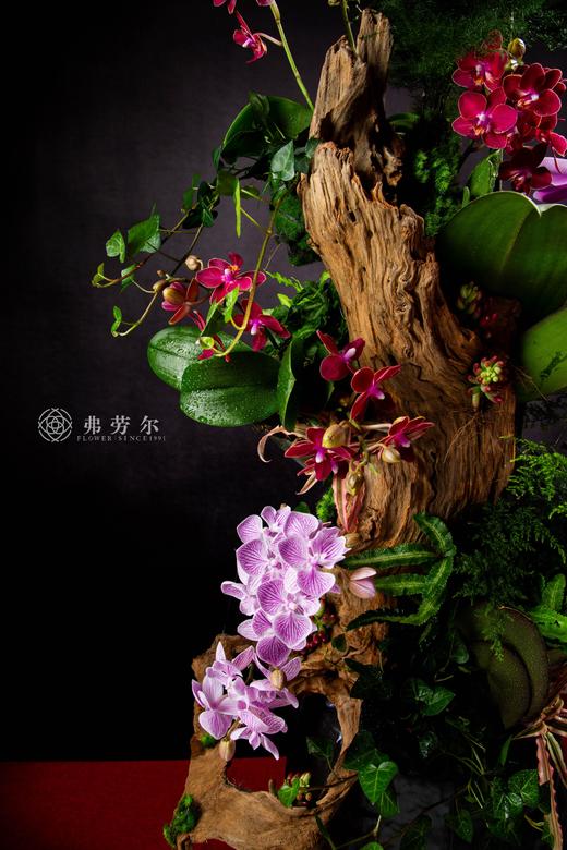 与蛇俱进 商品图3