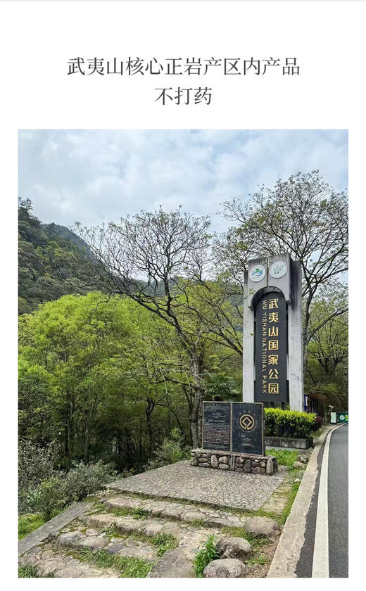 虎啸岩肉桂 荔枝木碳焙 商品图5